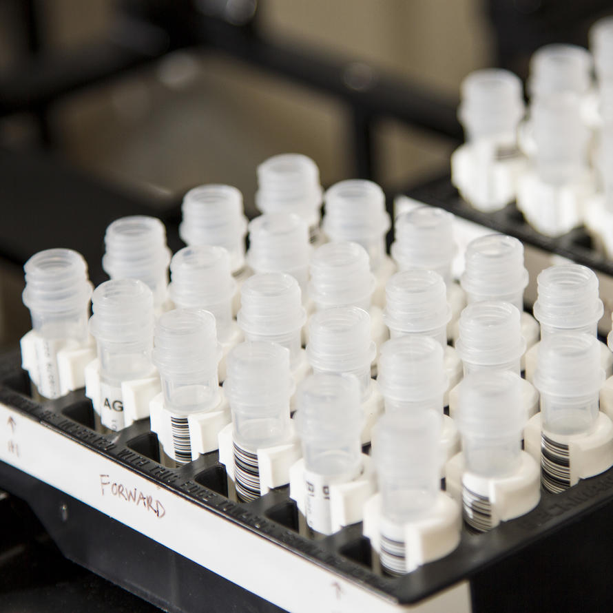 Sample vials in a storage rack in a laboratory setting