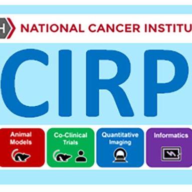 The National Cancer Institute CIRP banner with a collage of DNA, molecules, tissue, and brain imaging. Icons for Animal Models, Co-Clinical Trials, Quantitative Imaging, and Informatics are below the CIRP text.