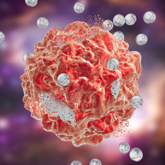 A large, bumpy red cell floats in a background colored pink, white and black. Around the red cell are about 20 small, white circles. Three of the circles have hit the surface of the red cell and conformed to it, with tiny red shapes being emitted where the small white circles hit.