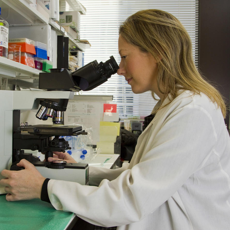 A female scientist sitting at a microscope