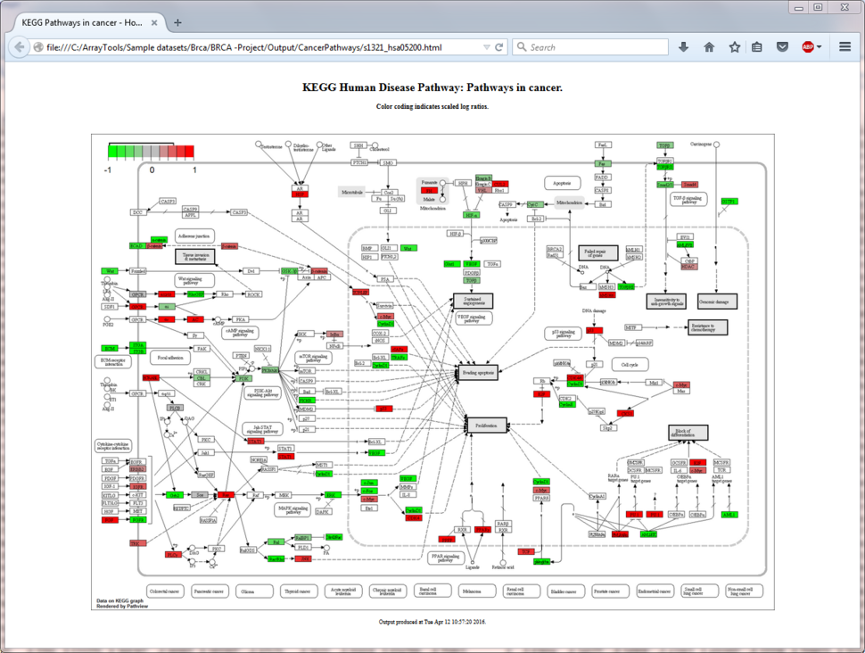 BRB ArrayTools KEGG pathway network plot