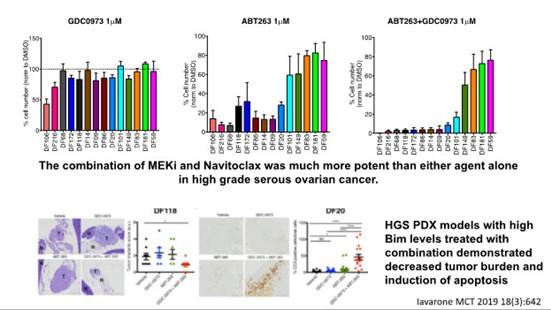 Figure with charts and stains showing HGS PDX models with high Bim levels treated with MEKi and Navitoclax