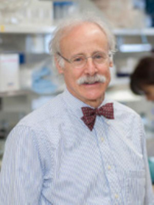 Dr. Marc Ernstoff headshot