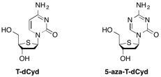 Structures of the DNMT1 inhibitors T-dCyd and its nitrogen containing 5-aza-TdCyd analog synthesized by DSCB