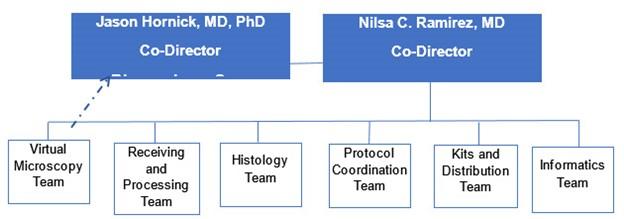 This figure is the Biospecimen Team Organizational Chart