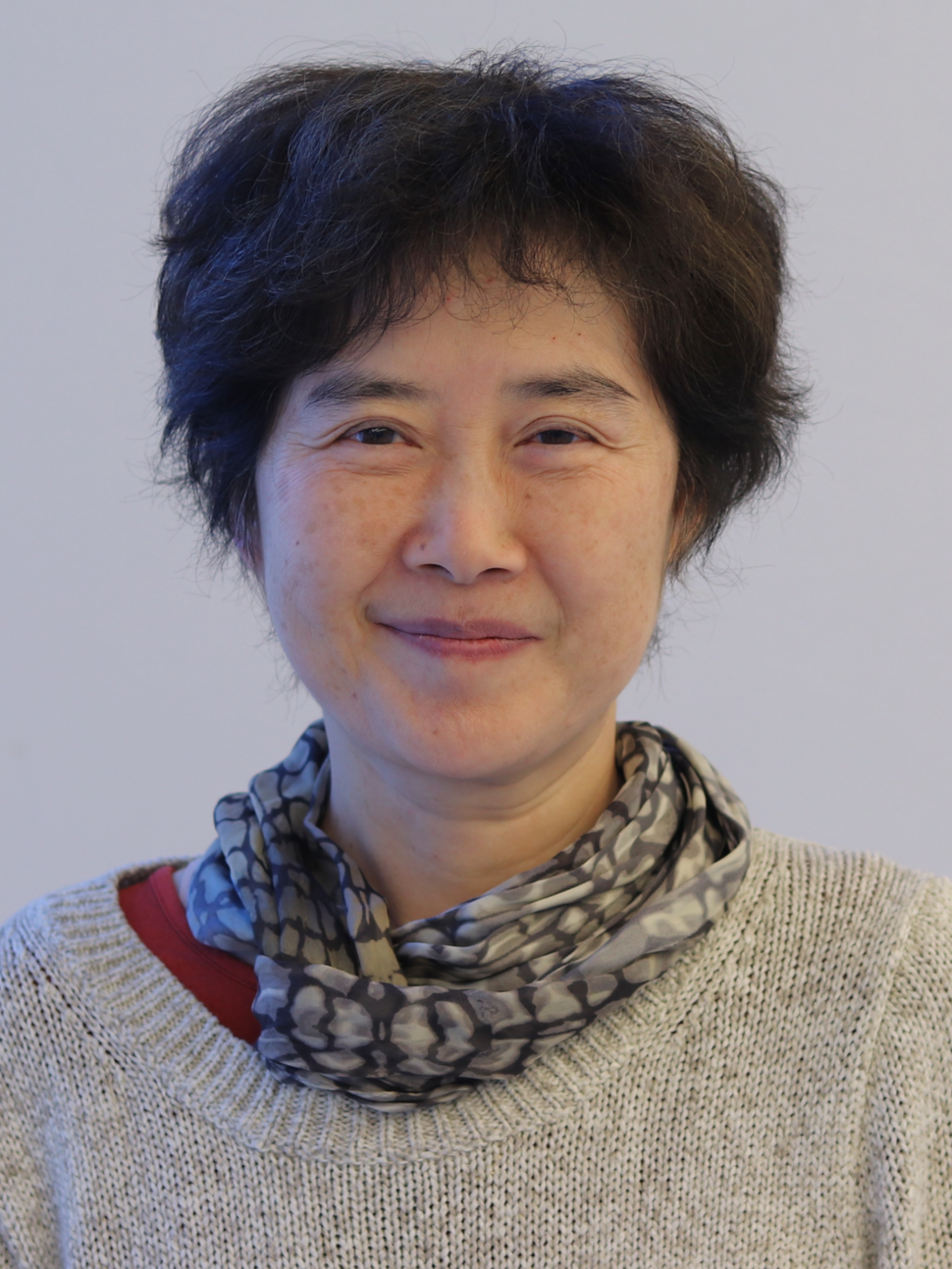 Dr. Helen X. Chen
