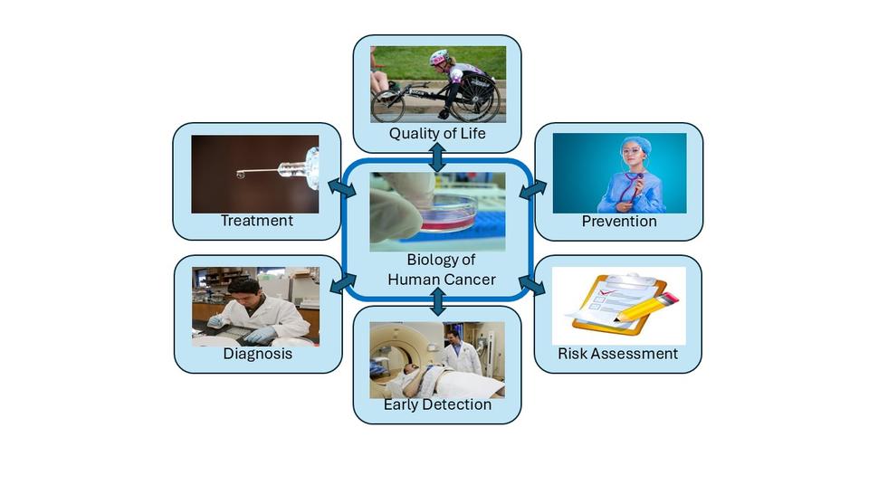 A image representing the TRP mission